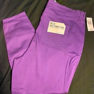 Celebrity Pink Skinny Pants 20W